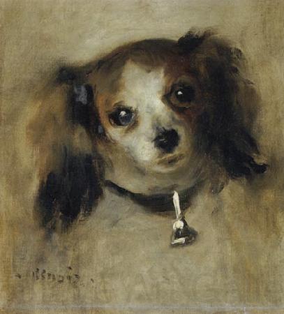 Pierre-Auguste Renoir Head of a Dog Spain oil painting art